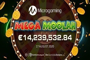 Hot_TOP_casino_Mega_Moolah_Microgaming