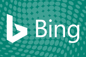 Bing Casino Population Search service 
